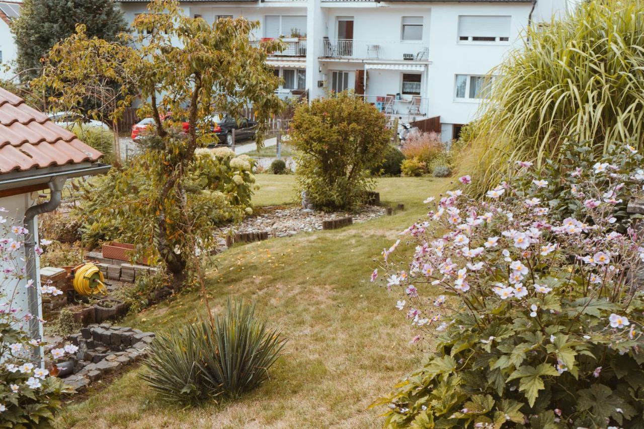 Ferienparadies Am Kammerberg - Ein Ganzes Haus Fuer Sie Alleine!!! Вайсенхорн Экстерьер фото